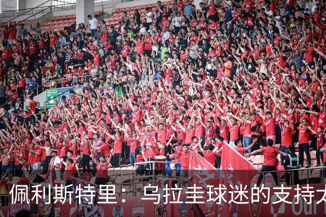 佩利斯特里：乌拉圭球迷的支持太给力了，我们会一场一场拼